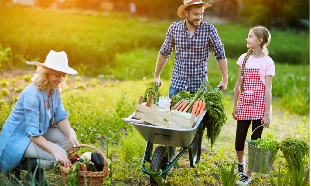 12 Ways Buying Local Food Makes a Global Impact