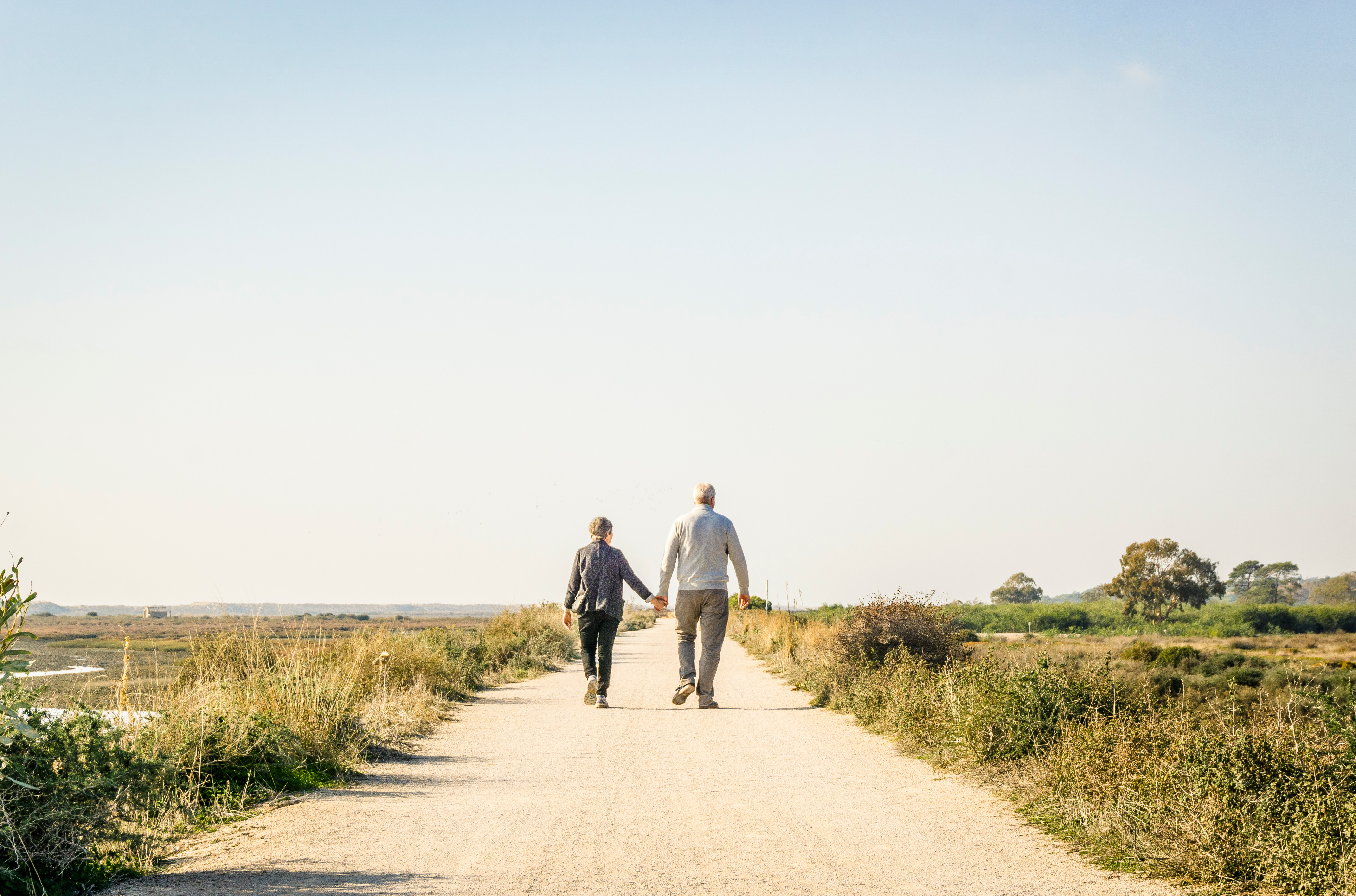 diabetes and alzheimer’s disease