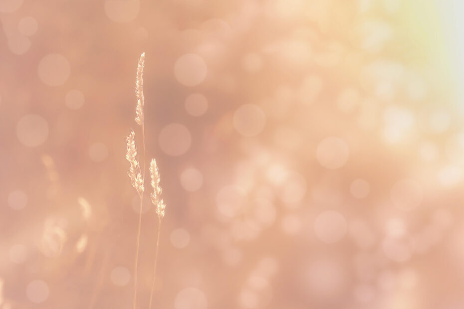 money over happiness