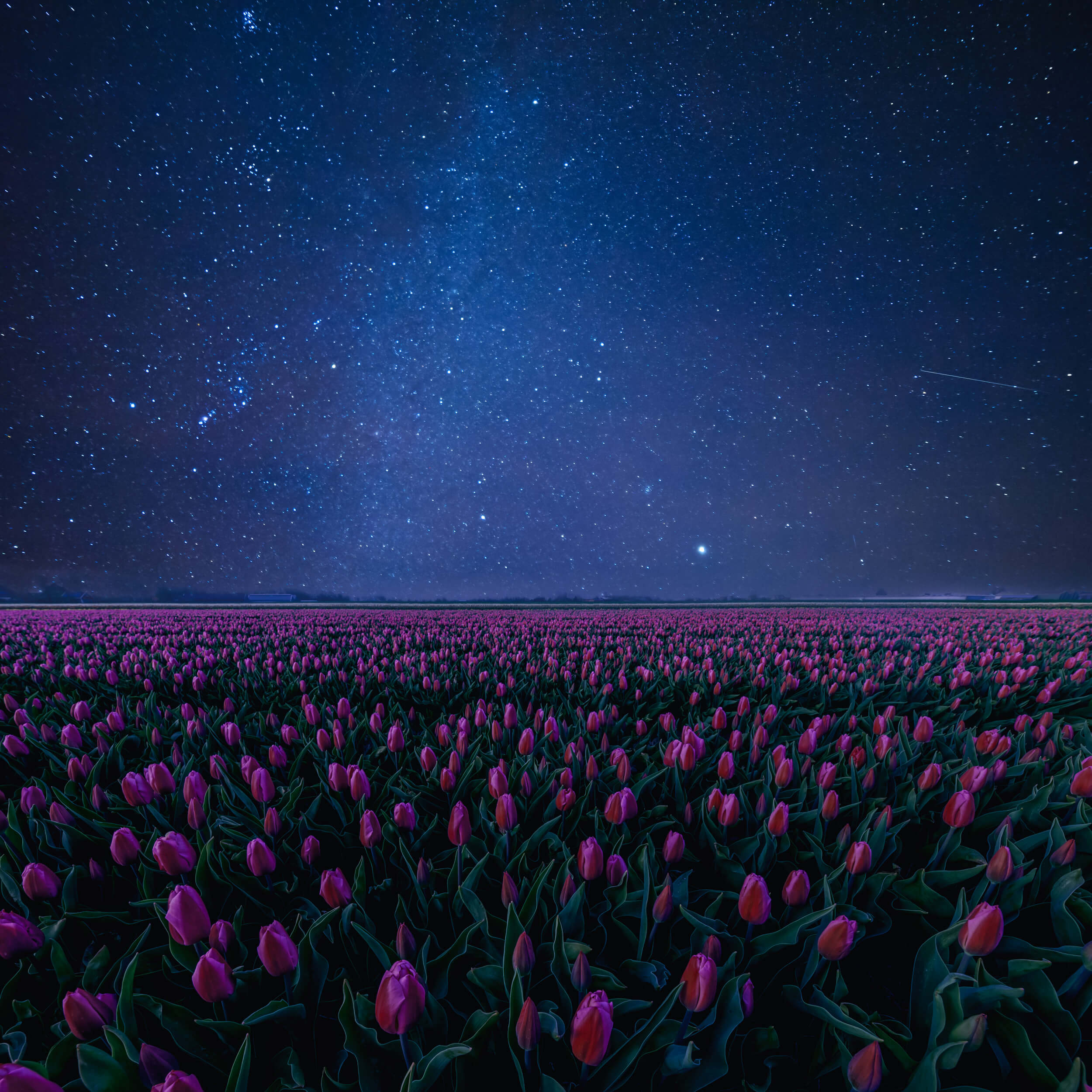 Peaceful Life