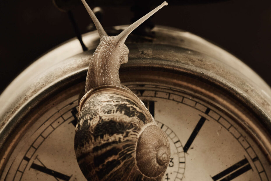 Time Management Tricks