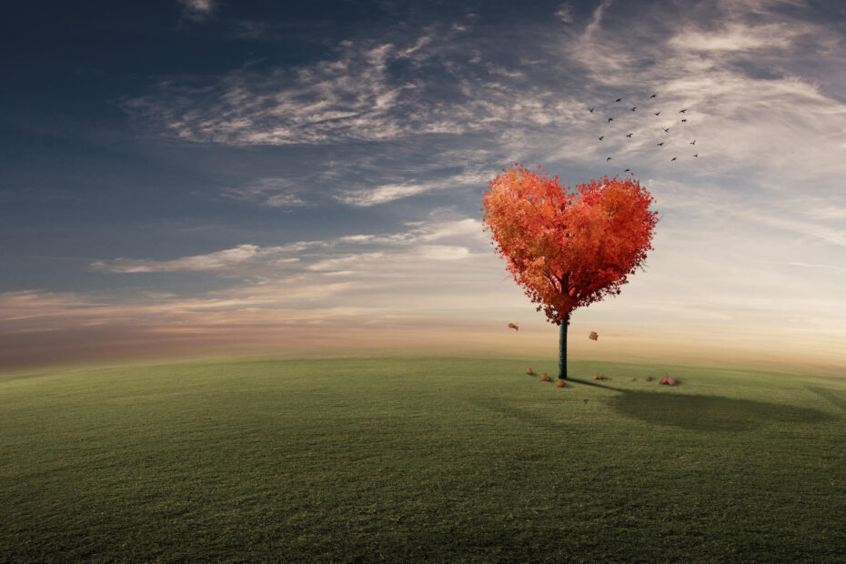 Science of Affirmations