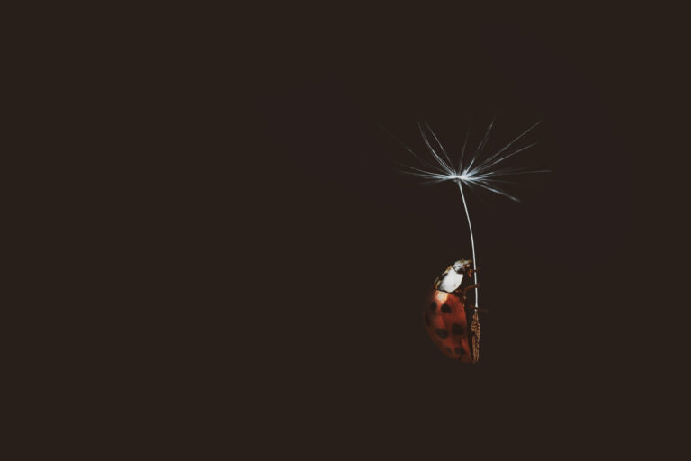 Ways to Practice Kindness