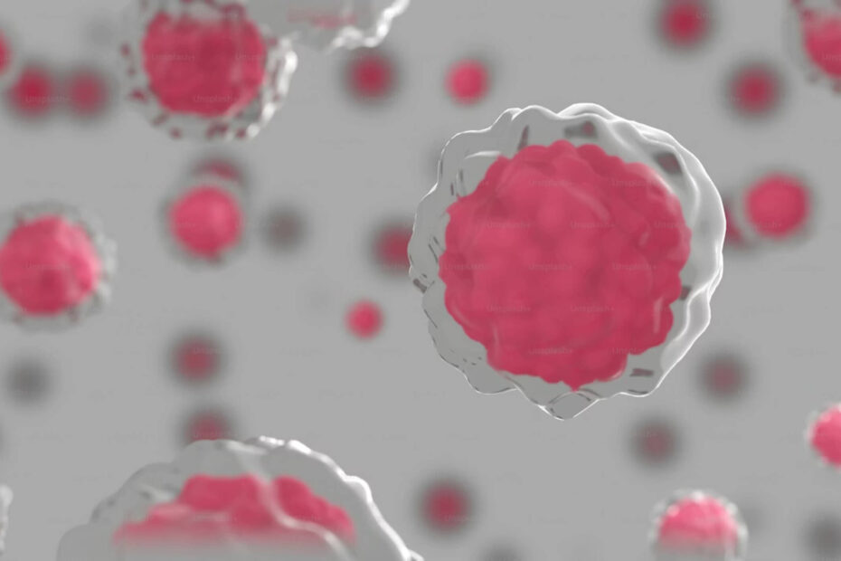 understanding-cancer-risk