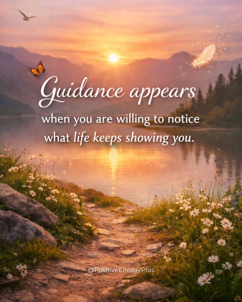 Guidance appears when you are willing to notice what life keeps showing you.
