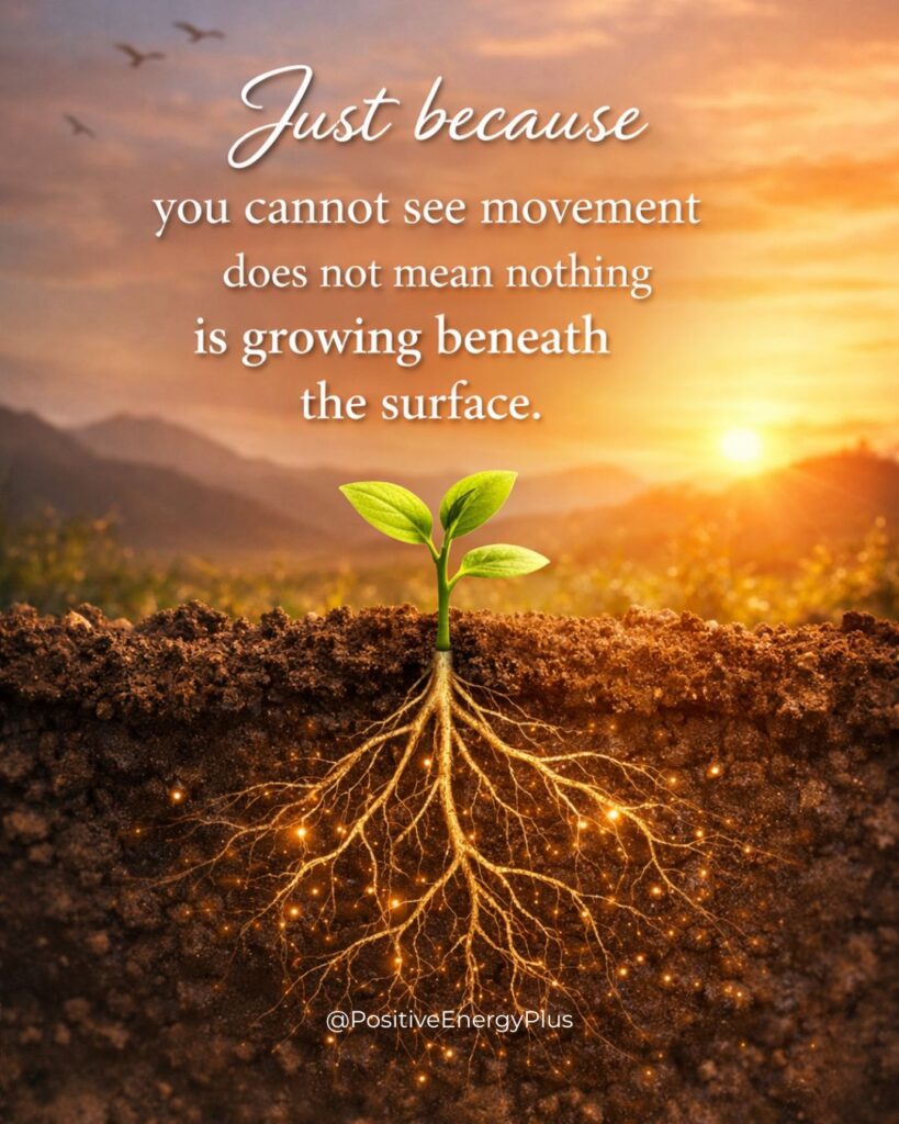 Just because you cannot see movement does not mean nothing is growing beneath the surface