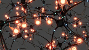 better_brain_health