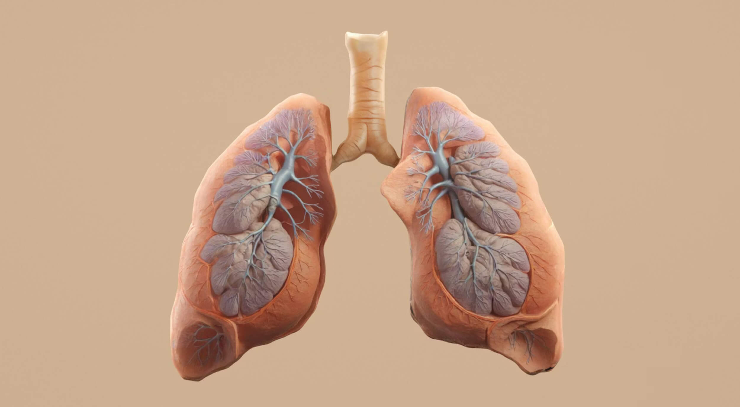 early_lung_cancer_signs