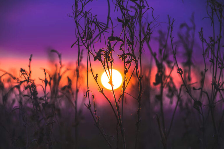 why_gratitude_plays_a_powerful_role