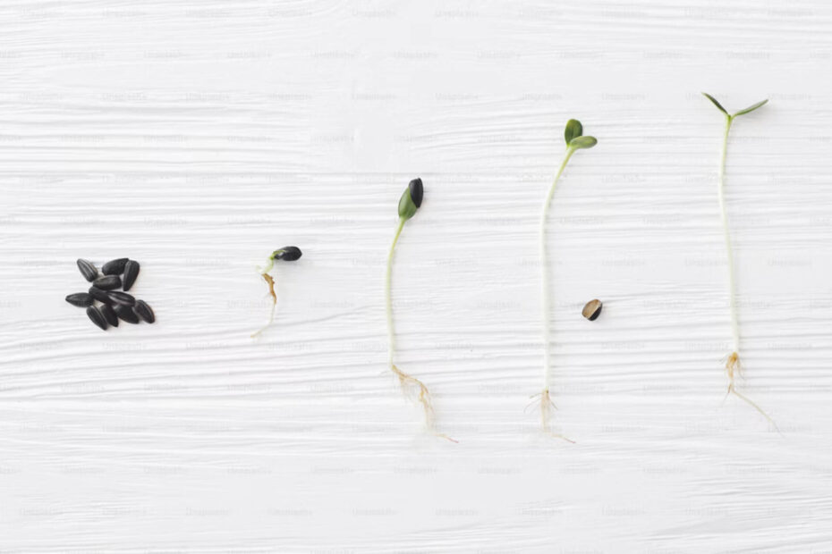 career_growth_habits