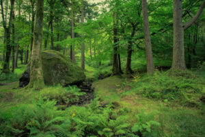 protecting_natural_resources