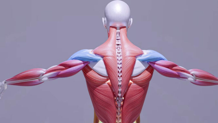 muscle_tension