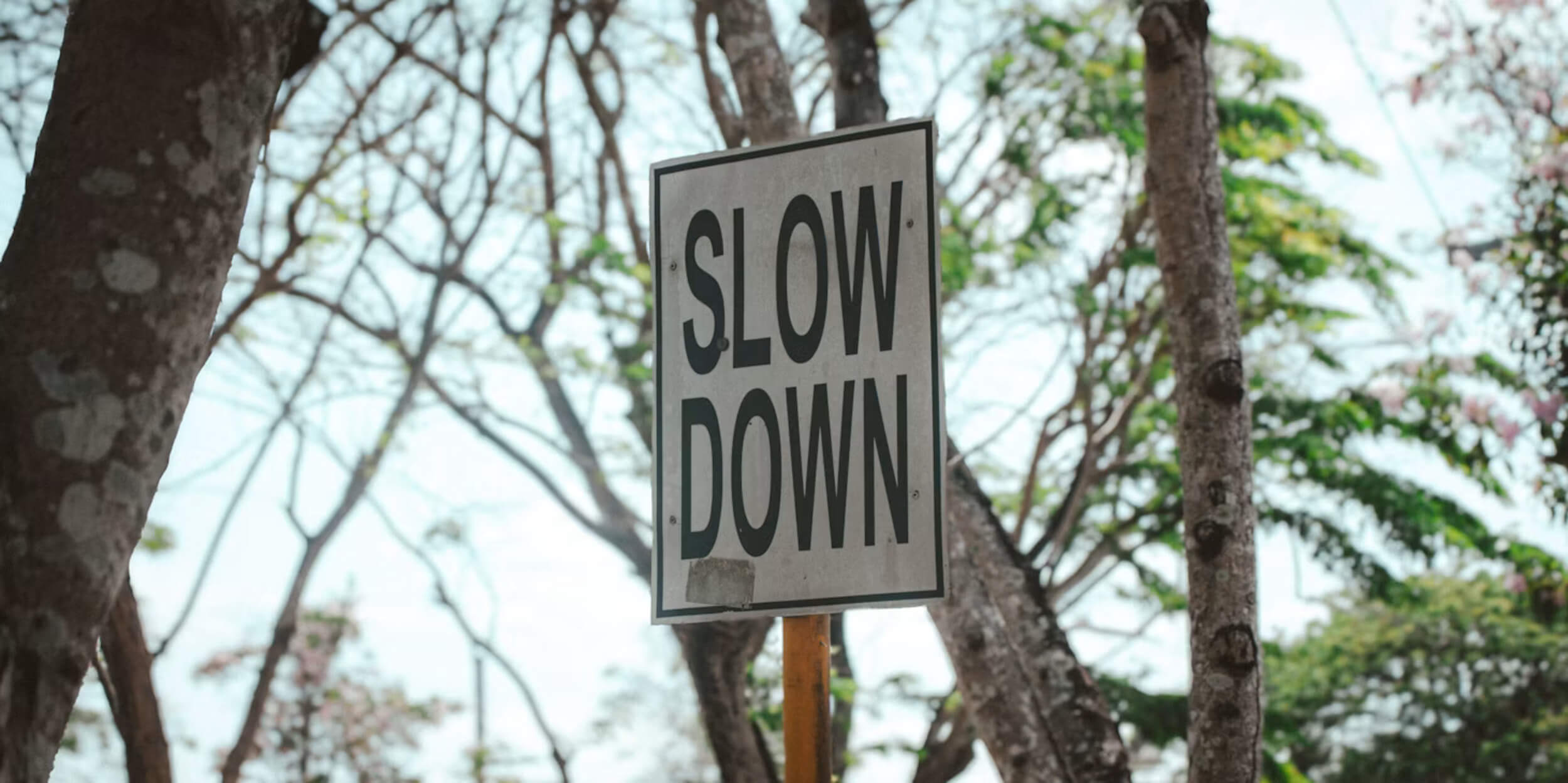 mind_will_not_slow_down