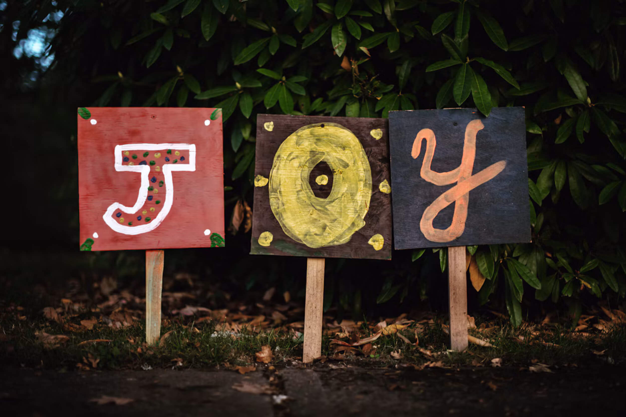 the_joy_of_having_a_hobby
